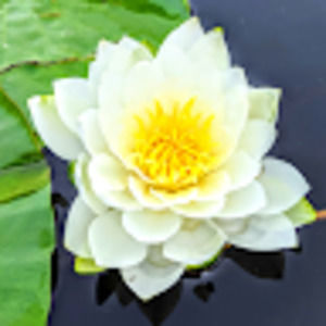 Meet your Posher, Kaylee